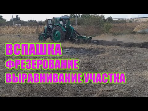 Видео: Подготовка почвы к посадке малины и ежевики