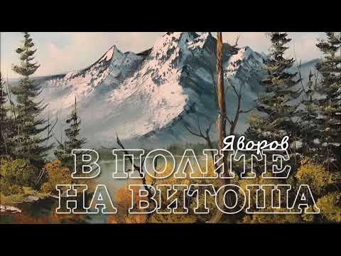 Видео: В ПОЛИТЕ НА ВИТОША - ЯВОРОВ