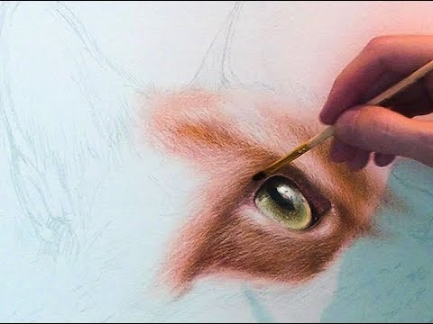 Видео: Мастер-класс по сухой кисти "Рыжий кот" часть 1