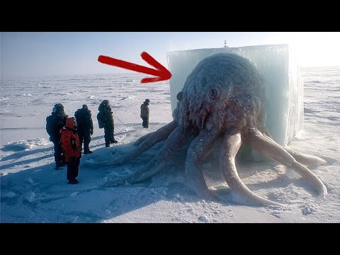 Видео: Древняя жизнь пробуждена: 24 000-летние организмы возвращаются к жизни