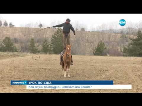 Видео: На кушия в Калугерово - Новините на Нова (19.03.2016)