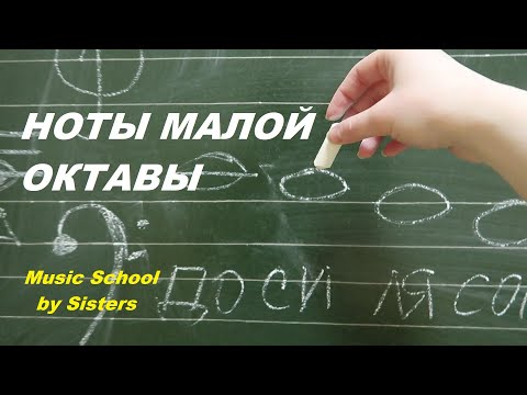 Видео: НОТЫ МАЛОЙ ОКТАВЫ: как быстро выучить в скрипичном и басовом ключах?