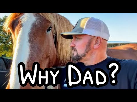 Видео: Фильм о кино! 🍿