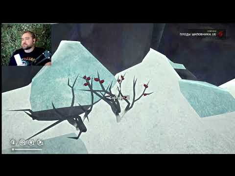 Видео: The Long Dark первый запуск. Выжить любой ценой