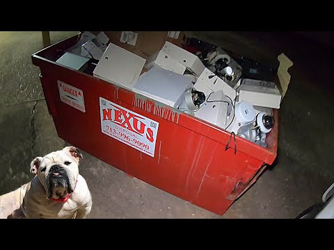 Видео: Ныряние в мусорных баках. «Поехали полетаем!»