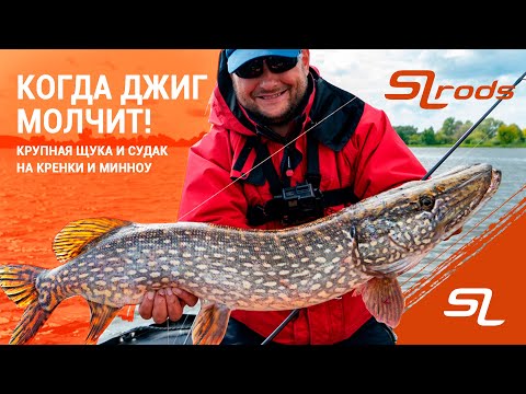 Видео: Крупная щука и судак на кренки и минноу.#LiveSL N10