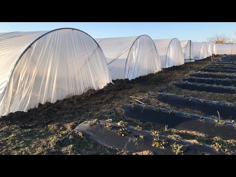 Видео: 10/20Закрыл балаганы. Обработки, малообъемка, укрытие балаганов.