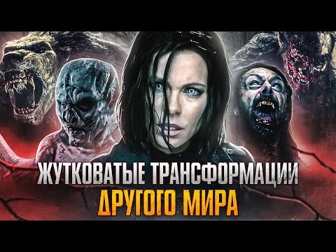 Видео: Жутковатые трансформации Другого мира