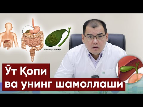 Видео: ўт қопи ва унинг шамоллаши...