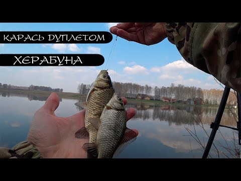 Видео: КАРАСЬ. ПОПЛАВОК. ВЕСНА. Херабуна. Открытие сезона.