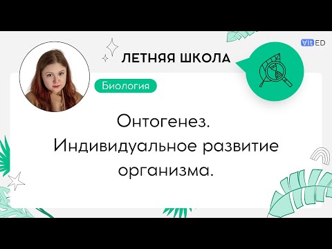 Видео: Онтогенез. Индивидуальное развитие организма