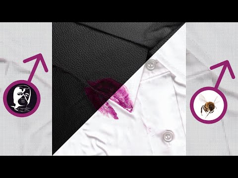 Видео: ПОШЛАЯ МОЛЛИ - КОНТРАКТ (♂Right Version Gachi Remix♂) (feat. OnlyRight)