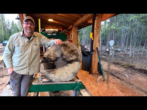 Видео: НЕ СУДИТЕ ЭТО БРЕВНО ПО ЕГО ОБЛОЖКЕ — СУПЕРТЯЖЕЛОЕ БРЕВНО С ПРЕКРАСНОЙ ГОРЕНОЙ ЖЕЛТОЙ СОСНОЙ ВНУТРИ