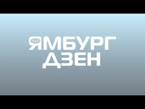 Видео: ЯМБУРГ. ДЗЕН #29 / Осенний лес где-то между Ямбургом и Новым Уренгоем