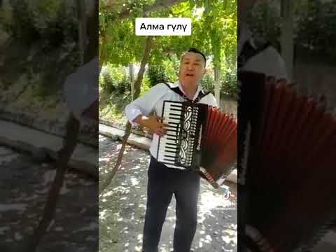 Видео: Элдик талант УКМУШ үн 😲😲 "Алма Гүлү"