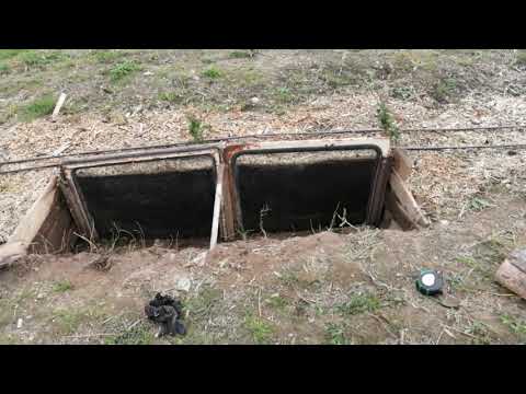 Видео: Корни голубики за стеклом. Первый результат опыта уже через два месяца после посадки.