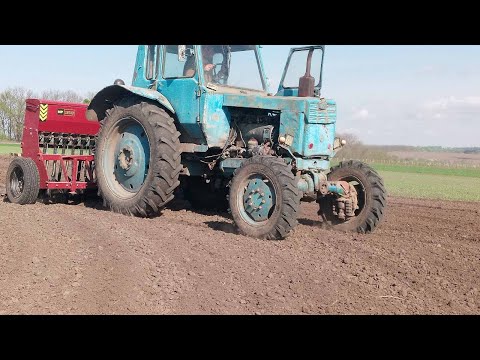 Видео: Посів сої 2024р.                                                          🚜Трактор Т-40 Ам