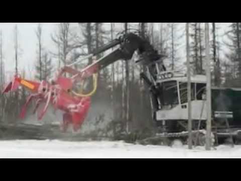 Видео: Валочно пакетирующая машина ЛП-19 с накопителем