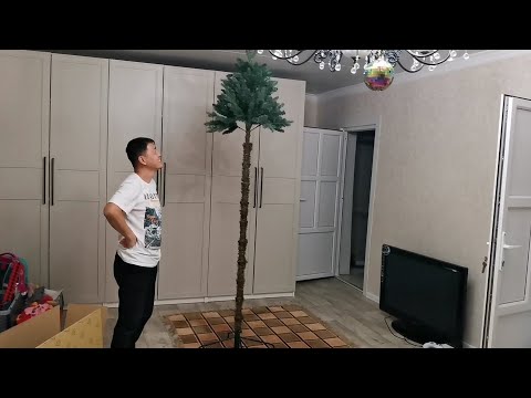 Видео: ПАЛЬМА ВМЕСТО ЕЛКИ ! Будем наряжать БАНАНАМИ . Шиндр Мындр  готовится к НОВОМУ ГОДУ !