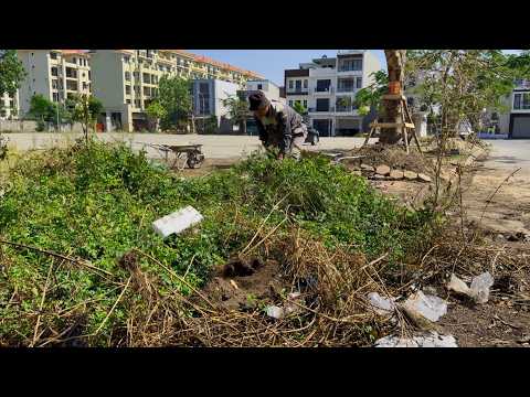 Видео: Почему в этом ПРОЦВЕТАЮЩЕМ месте существует ЗАРОСШИЙ ТРОТУАР, но никто его не убирает?
