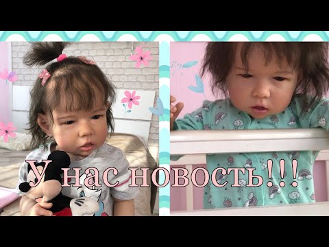 Видео: Vlog У нас НОВОСТЬ/Утро с Реборном Эмили