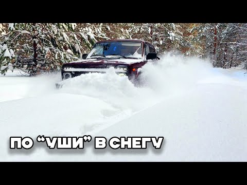 Видео: Нивы по снегу. Грязевая МТ резина по снегу. Сравнение резины. Где больше снега, в поле или лесу?