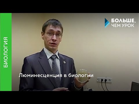 Видео: Люминесценция в биологии