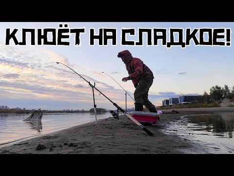 Видео: СЛАДКАЯ ЖИЖА СРАБОТАЛА! Речной МЕЛЯК раздает КРУПНЯК!? Рыбалка осенью 2023.