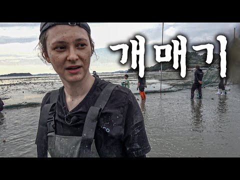Видео: Поймали рыбы на год вперед в Корее!