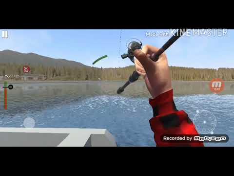 Видео: Рыбалка на двух реках цель сом|Ultimate fishing simulator