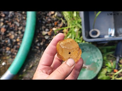 Видео: Золото реки Стеклянная