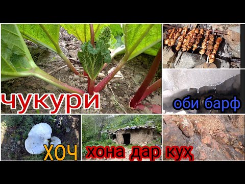 Видео: кухи моштепа ( магмурут ) самый высокий гора в Душанбе