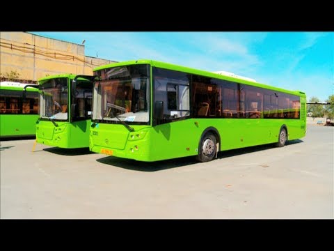 Видео: На дороги Тюмени вышли 22 новых автобуса