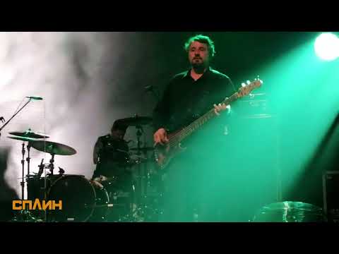 Видео: Сплин во Вроцлаве (PL). 15.04.2025