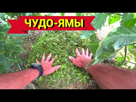 Видео: МОИ ЧУДО-ЯМЫ. ПОЛИВ за ПАРУ МИНУТ. Как упростить полив и подкормку томатов и огурцов.