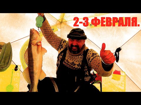 Видео: Зимняя Рыбалка с Ночевкой. Ай Да Судачина! Там где Отец Русской Рыбалки, Глухозимье не Работает!