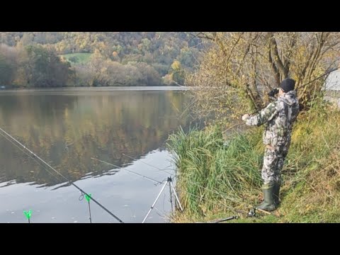Видео: фидерные излишества на реке Эльба