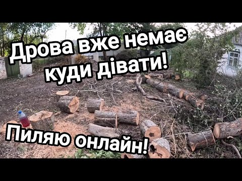 Видео: Купив хату в селі! Дрова вже немає куди дівати! Пиляю дерева онлайн! Прибираю занедбану ділянку!