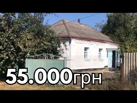 Видео: 🔥 БУДИНОК В СЕЛІ ЗА 55 000 ГРН! 🏡 ГАЗ • ВОДА • РІЧКА • ЛИШЕ 3 КМ ДО МІСТА! 🚶️