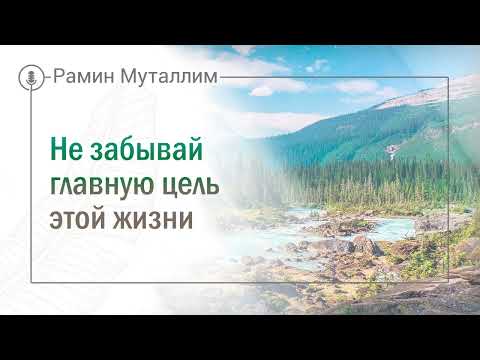 Видео: Не забывай главную цель этой жизни | Рамин Муталлим