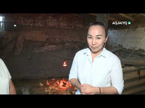 Видео: Атамекен аясында (19.06.2021)