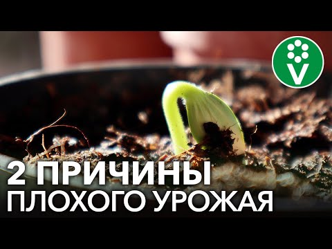 Видео: 2 НЕОЧЕВИДНЫЕ ПРОБЛЕМЫ ПОЧВЫ, которые значительно снижают урожай и плодородие почвы