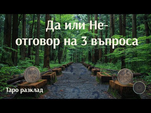 Видео: Да или Не??? Отговор на 3 ваши въпроса ❔🤔❓