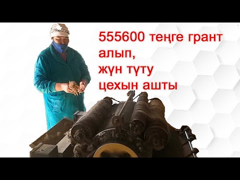 Видео: 555600 теңге қайтарымсыз грантын алып жүн түту цехын ашты.