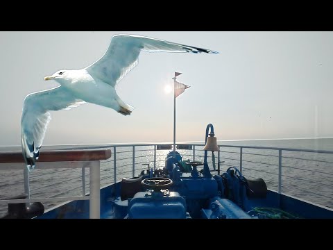 Видео: Возвращаемся в Большую Никоновскую бухту Валаама 08.06.2025