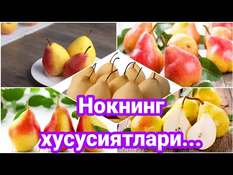 Видео: Nokning foydasi _   Нокнинг фойдаси.