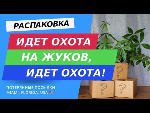 Видео: Веселая распаковка! Потерянные посылки и обзор товаров в США, Флорида.