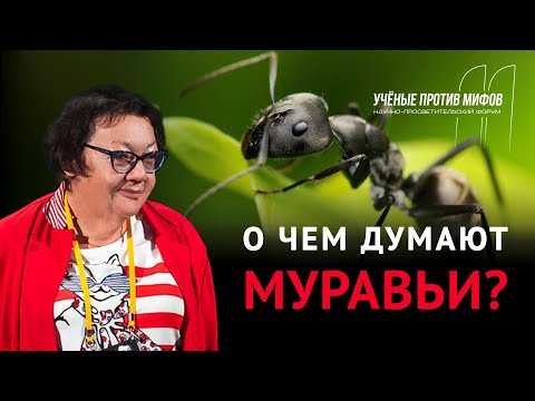 Видео: Мифы о муравьях. Жанна Резникова. Ученые против мифов 11-3