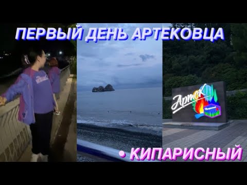 Видео: Первый день в Артеке💜