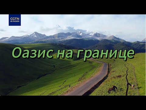 Видео: Оазис на границе